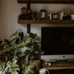 unsplash_392.jpg