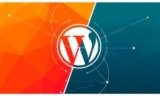 WordPress Website Development